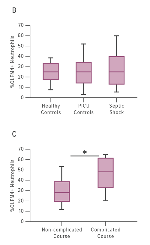 The percentage of OLFM4+ neutrophils is not significantly different between healthy controls, intensive care controls, or patients with septic shock (B). When comparing just patients with septic shock, those with a complicated course had a higher percentage OLFM4+ cells when compared with non-complicated course (C).